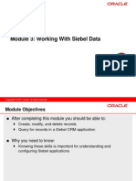 03 Working With Siebel Data
