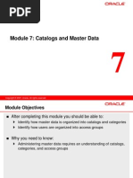 07 Catalogs and Master Data