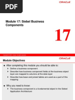 17 Siebel Business Components
