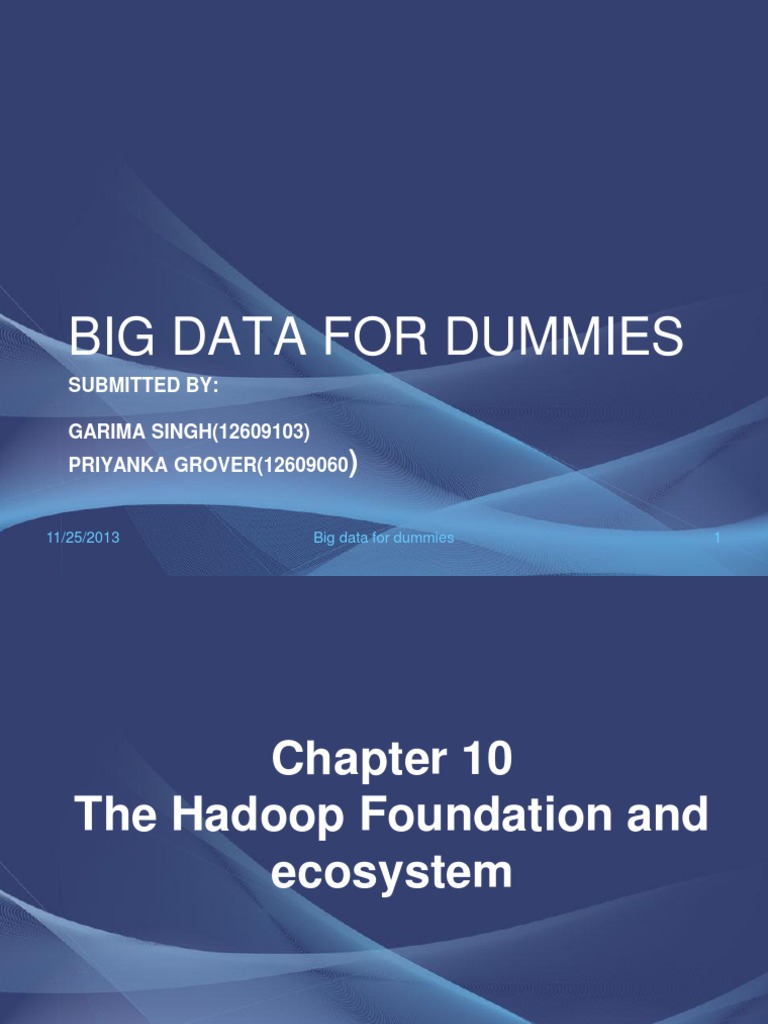 Big Data For Dummies Submitted By GARIMA SINGH (12609103) PRIYANKA