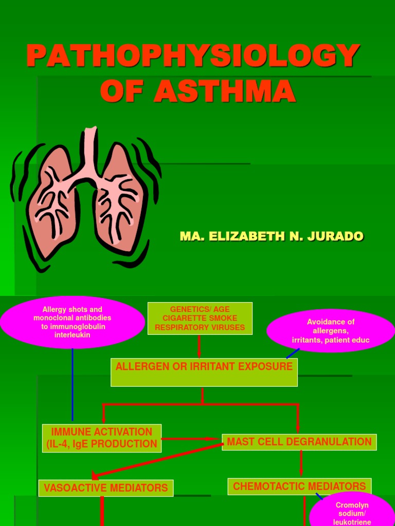 Pathophysiology of Asthma