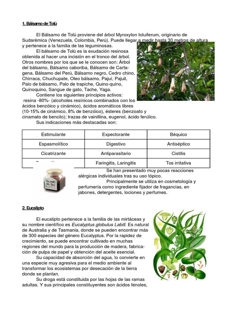 Bálsamo de Tolu PDF Eucalipto Orégano