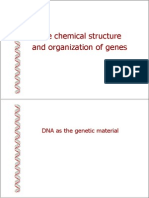 Chem Structure of Genes