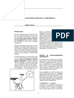 cap9 Farmacología del Sistema Adrenérgico o Simpático Malgor Valsecia