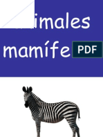 1 Animales Mamc3adferos1
