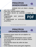 Aula_princípios_organiz