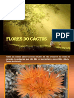 9 Flores Do Cactus