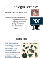Entomologia Forense