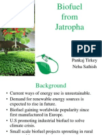 Biofuel From Jatropa