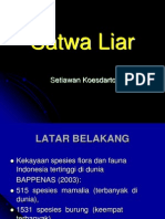 Satwa Liar