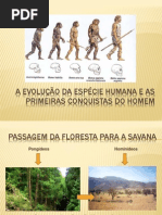 hominizao-111128162605-phpapp02