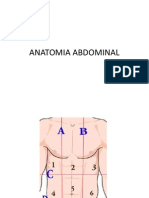 Anatomia Abdominal