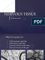 Nervous Tissue- Poone