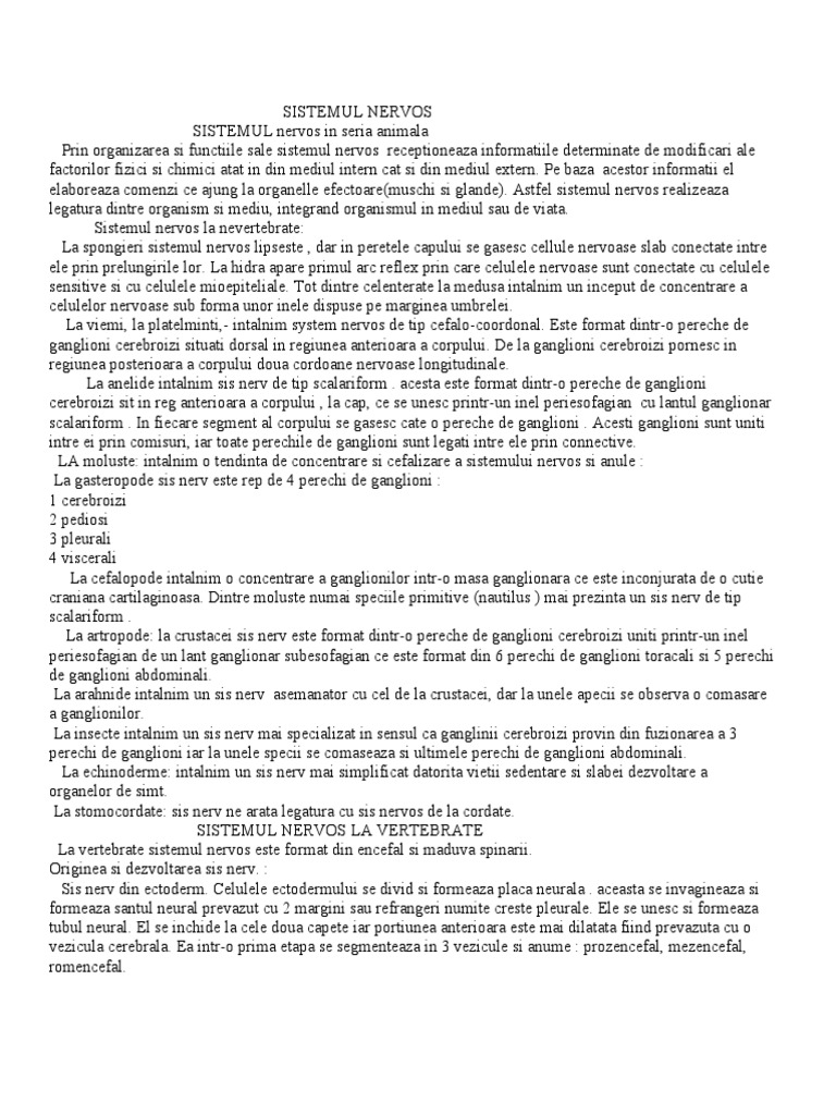 SISTEMUL Nervos | PDF