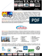 Satp Industrias S.A. de C.V. Presentacion 2013