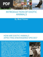 introduction of exotic animals