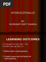 Download Hydrocephalus Updates by cddinchimm SN18747313 doc pdf
