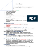 24.2 Genes: Gene (Diagram Packages P3 D1-2)