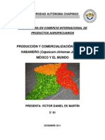 Producción y Comercialización de Chile Habanero en México y El Mundo