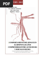 Dengue 2013