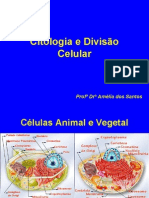 PLC0030 Divisão Celular MItose e Meiose