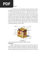 Download ANATOMI KULIT by Jessy Fransiska SN187503230 doc pdf