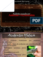 Acidentes por Animais Peçonhentos - Estudo de Patologias Tropicais