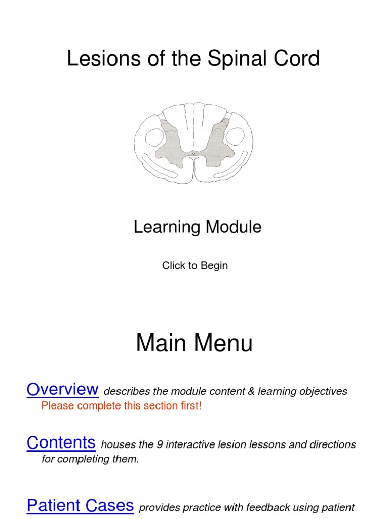 Lesions of The Spinal Cord: Learning Module | PDF | Neuroscience ...
