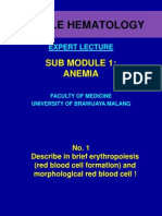 Expert Lecture (Anemia)