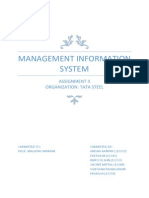 Management Information System: Assignment Ii Organization: Tata Steel