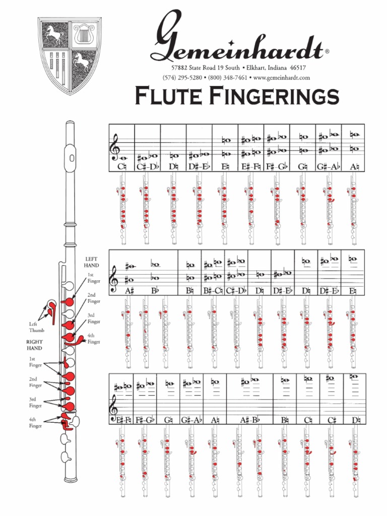 Flute Fingering Charts | PDF