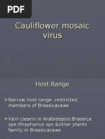 Download Cauliflower mosaic virus by sivagurunathanP SN18753955 doc pdf
