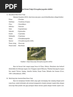 Download Ikan Grass Carpdocx by Afri Herlambang SN187547994 doc pdf