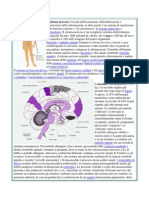 Il sistema nervoso è la sede dell