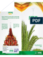 Catalogo de palma famag.pdf