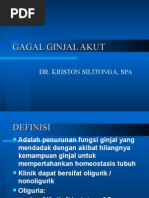 Download GAGAL GINJAL AKUT by godlief leghu kondi SN18759301 doc pdf