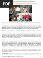 Blog Do Jr Misaki - Dicas Para Professores Iniciantes de Pintura Em Tela _ Jrmisaki.arteblog.com