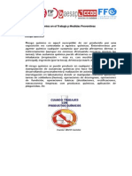 10 Riesgo Existentes PDF