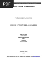 Relatório Fenômenos de Transporte