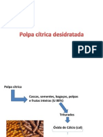 Trabalho de Polpa Cítrica