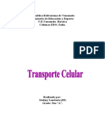 Transporte Celular