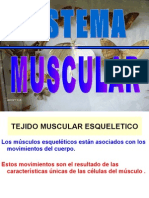 4959861 Sistema Muscular