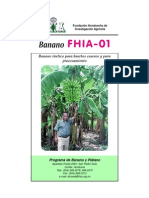 Fhia 01