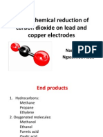 Electroreduction of Carbon Dioxide on Lead and Copper