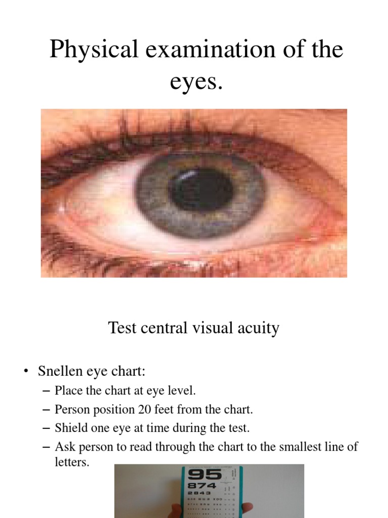Eye Physical Examination Protocol | PDF | Visual Acuity | Human Eye