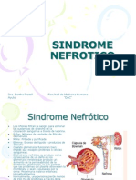 Sindrome Nefrotico 10 Junio 2013
