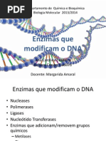 Enzimas Que Modificam o DNA
