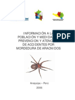 Tipos de Aranas Venenosas Pueden Vivir en Casa o Cerca de Ella