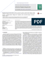 Engineering Escherichia Coli To Convert Acetic Acid To Free Fatty Acids