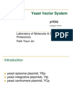 Yeast Vector (PYJ)